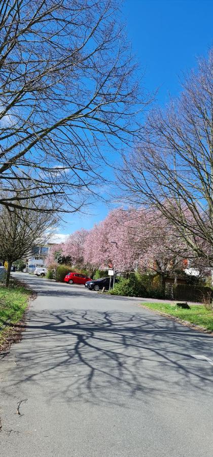 Gemuetliches Gaestezimmer An Der Bergstrasse Hessen Homestay